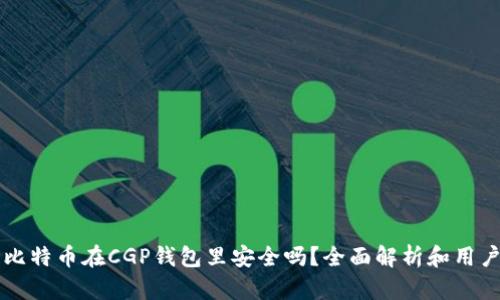 我的比特币在CGP钱包里安全吗？全面解析和用户指南