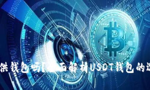 USDT官方提供钱包吗？全面解析USDT钱包的选择与安全性