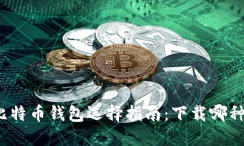 个人比特币钱包选择指南：下载哪种更好？