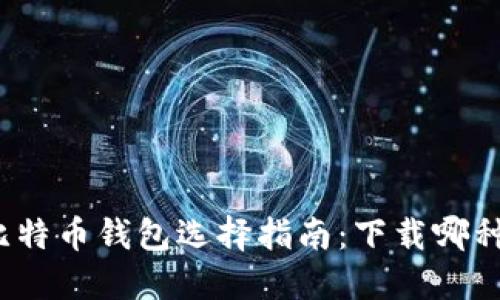 个人比特币钱包选择指南：下载哪种更好？
