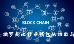 深入解析：俄罗斯比特币