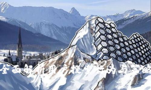 全面解析用户搜索行为与策略