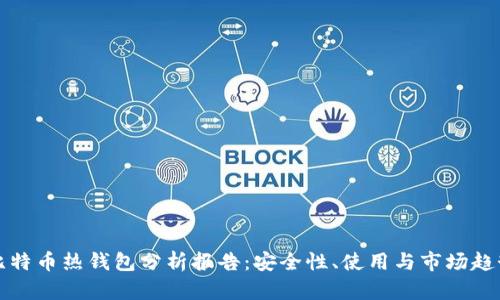 比特币热钱包分析报告：安全性、使用与市场趋势