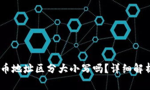 USDT钱包收币地址区分大小写吗？详细解析与注意事项