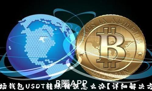 
波场钱包USDT转账错误怎么办？详细解决方案