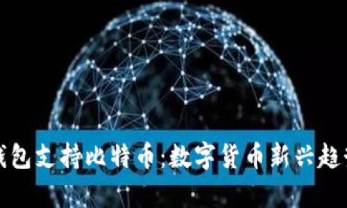 小米钱包支持比特币：数字货币新兴趋势解析