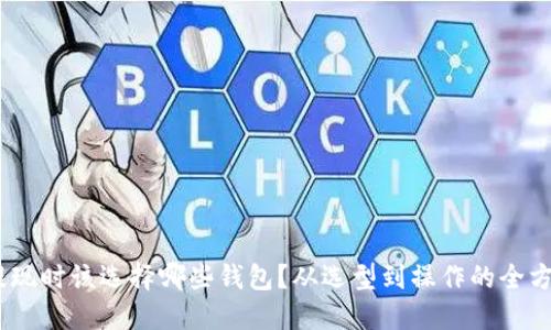 USDT提现时该选择哪些钱包？从选型到操作的全方位指南