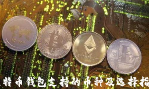 
比特币钱包支持的币种及选择指南