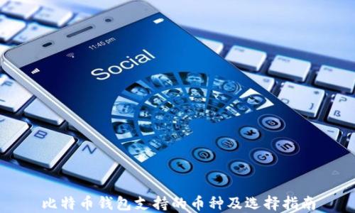 
比特币钱包支持的币种及选择指南