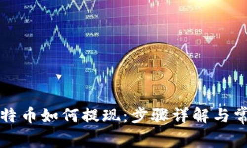 钱包里的比特币如何提现：步骤详解与常见问题解答
