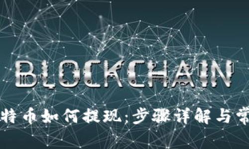 钱包里的比特币如何提现:步骤详解与常见问题解答