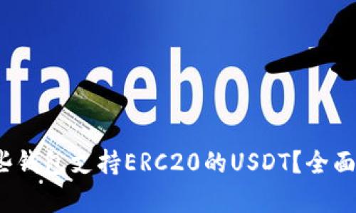 2023年哪些钱包支持ERC20的USDT？全面解析与推荐