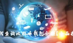 如何查询比特币钱包余额