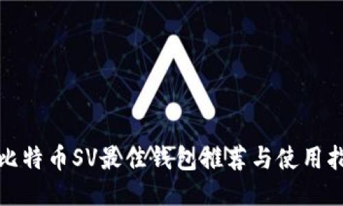 : 比特币SV最佳钱包推荐与使用指南