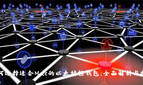 如何选择适合Mac的以太坊轻钱包：全面解析与推荐