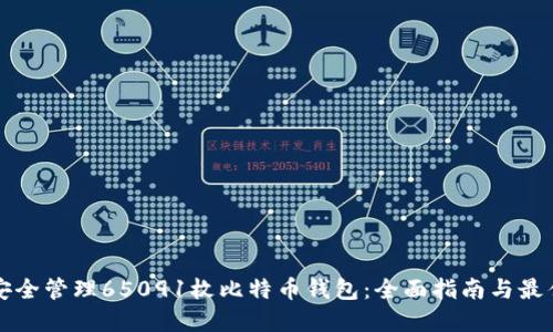如何安全管理65091枚比特币钱包：全面指南与最佳实践