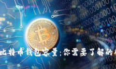 2020年比特币钱包容量：你