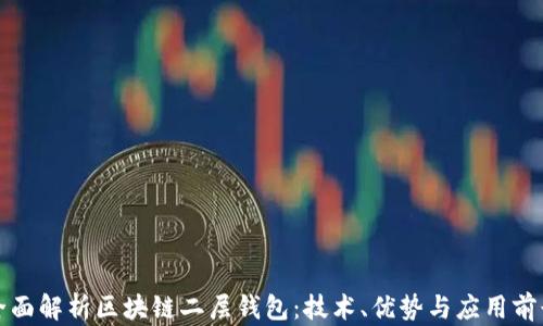 
全面解析区块链二层钱包：技术、优势与应用前景