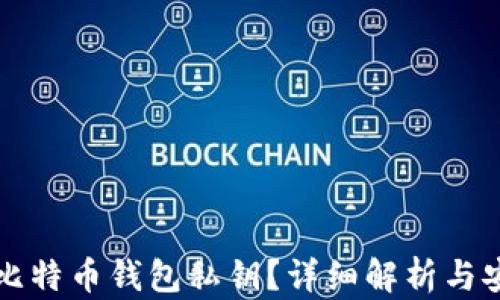 
什么是比特币钱包私钥？详细解析与安全指南