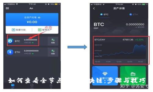 如何查看全节点钱包区块链：步骤与技巧