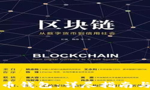 
如何恢复比特币钱包：详尽指南与常见问题解答