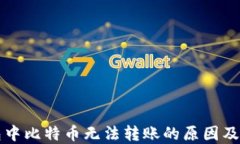美国钱包中比特币无法转
