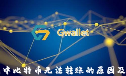 
美国钱包中比特币无法转账的原因及解决方案