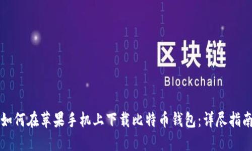 如何在苹果手机上下载比特币钱包：详尽指南