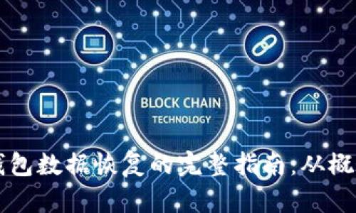 区块链钱包数据恢复的完整指南：从概念到实操