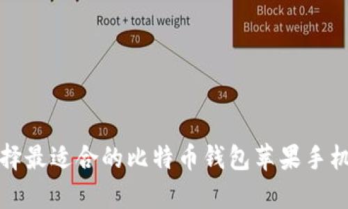 如何选择最适合的比特币钱包苹果手机客户端