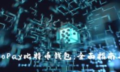 如何安全使用CoPay比特币钱