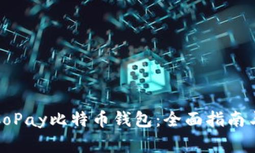 如何安全使用CoPay比特币钱包：全面指南与常见问题解答