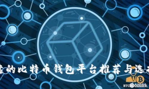 最可靠的比特币钱包平台推荐与选择指南