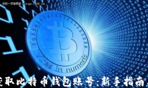 
如何获取比特币钱包账号：新手指南与技巧