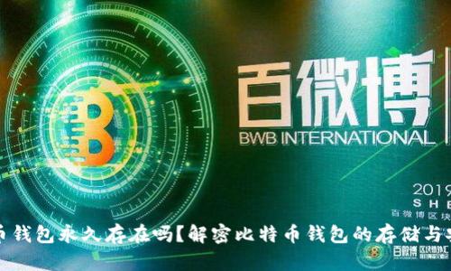 比特币钱包永久存在吗？解密比特币钱包的存储与安全性