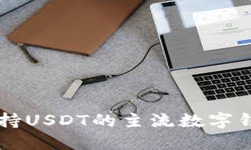 中国支持USDT的主流数字钱包推荐