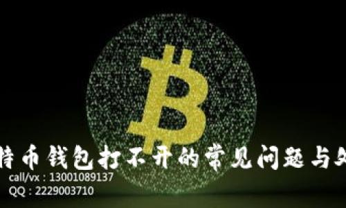 解决比特币钱包打不开的常见问题与处理方法