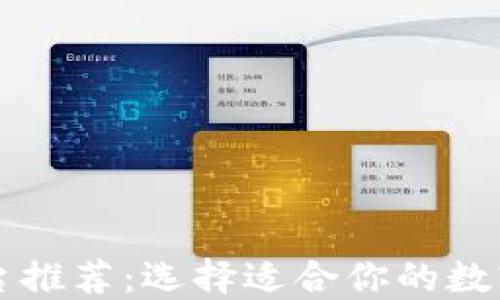 
区块链钱包平台推荐：选择适合你的数字资产管理工具