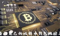 如何查询自己的比特币钱