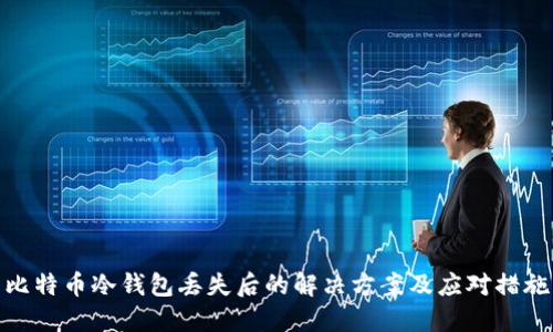比特币冷钱包丢失后的解决方案及应对措施