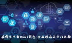 在哪里下载USDT钱包：全面