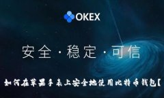 如何在苹果手表上安全地
