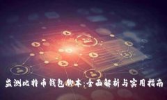 监测比特币钱包脚本：全