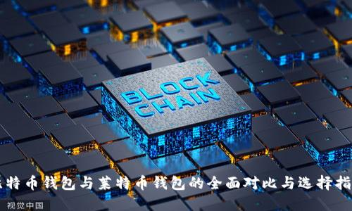比特币钱包与莱特币钱包的全面对比与选择指南