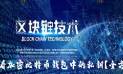   如何查看加密比特币钱包