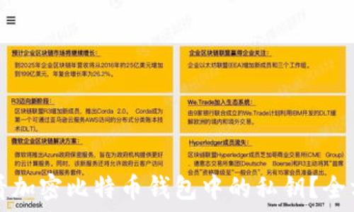   
如何查看加密比特币钱包中的私钥？全方位指南