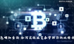 比特币钱包明细查询：如