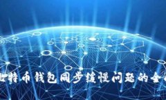 解决比特币钱包同步缓慢