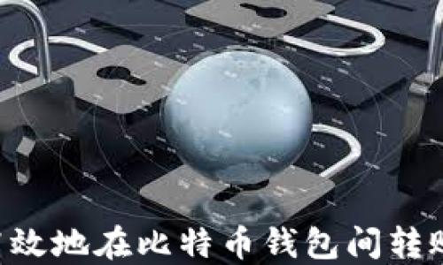 
如何安全高效地在比特币钱包间转账：终极指南